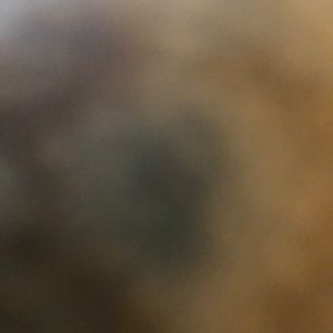 Meet your Posher, Ciara